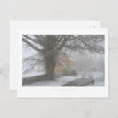 Katoenen in de winter briefkaart (Voorkant / Achterkant)