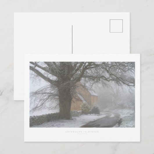 Katoenen in de winter briefkaart (Voorkant / Achterkant)