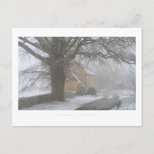 Katoenen in de winter briefkaart (Voorkant)