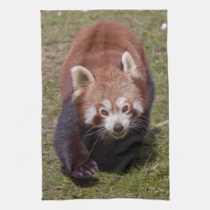 Katoenen keukenhanddoek met bandietenprint