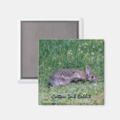 Katoenen staart konijn magneet (Voorkant / Achterkant)