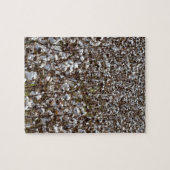 Katoenkroonveld Legpuzzel (Horizontaal)