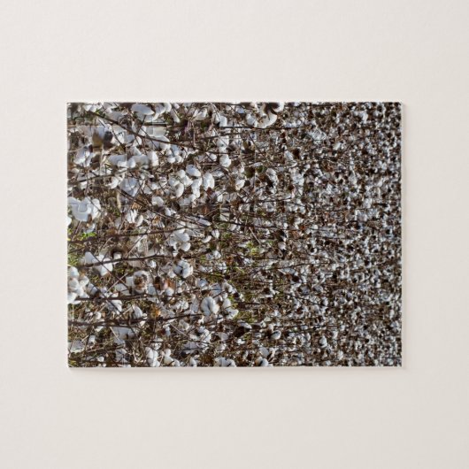 Katoenkroonveld Legpuzzel (Horizontaal)