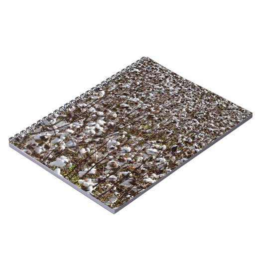 Katoenkroonveld Notitieboek (Linkerzijde)