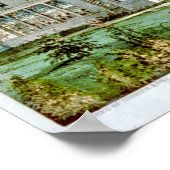 Katoenleven, zomer poster (Hoek)