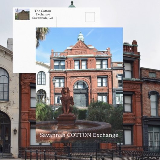 Katoenruil Savannah Georgia Fotografisch Briefkaart