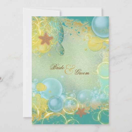 Katoenschildpadden, zeester kaart (Voorkant)