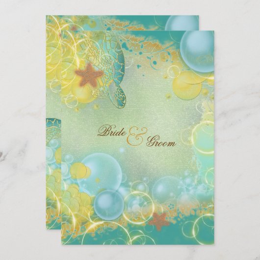 Katoenschildpadden, zeester kaart (Voorkant / Achterkant)