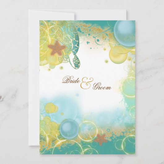 Katoenschildpadden, zeester kaart (Voorkant)