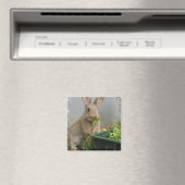 Katoenstaart konijnenmagneet magneet (Insitu (Vaatwasser))