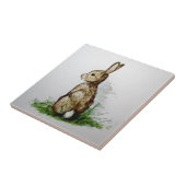 Katoenstaart. . . tegeltje (Zijkant)