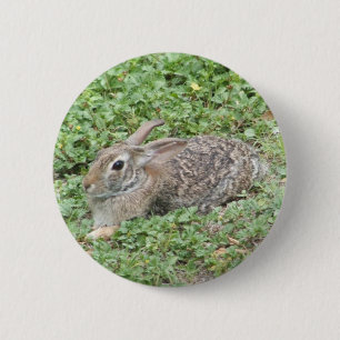 katoenstaartkonijn ronde button 5,7 cm