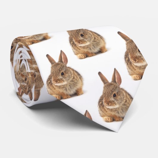 katoenstaartkonijn stropdas (Opgerold)