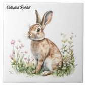 katoenstaartkonijn tegeltje (Voorkant)