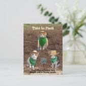 Katoentelers die de nertsen aanplanten. briefkaart (Staand voorkant)