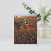 Katoentestveld Briefkaart (Staand voorkant)