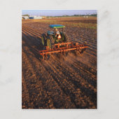 Katoentestveld Briefkaart (Voorkant)