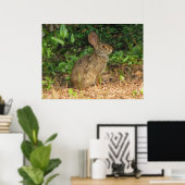 Katoentstaart Bevriesd Poster (Thuiskantoor)