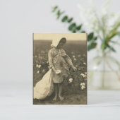 Katoenveld Briefkaart (Staand voorkant)