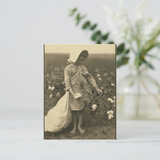 Katoenveld Briefkaart (Staand voorkant)