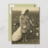 Katoenveld Briefkaart (Voorkant / Achterkant)