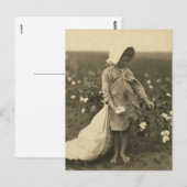 Katoenveld Briefkaart (Voorkant / Achterkant)