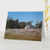 Katoenveld in Georgië met thuiskaart Kaart (Gele Bloem)