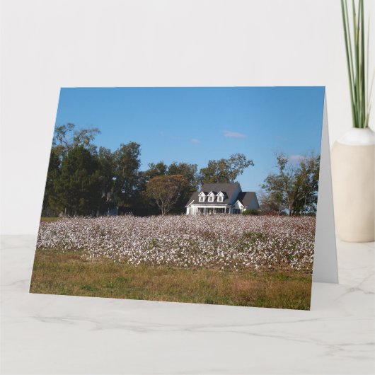 Katoenveld in Georgië met thuiskaart Kaart (Voorkant)