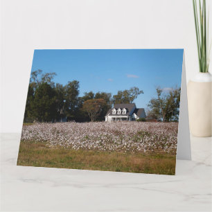 Katoenveld in Georgië met thuiskaart Kaart