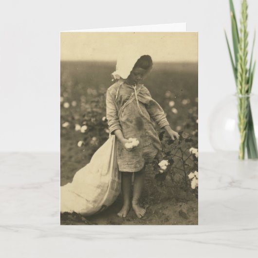 Katoenveld Kaart (Voorkant)