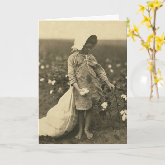 Katoenveld Kaart (Gele Bloem)