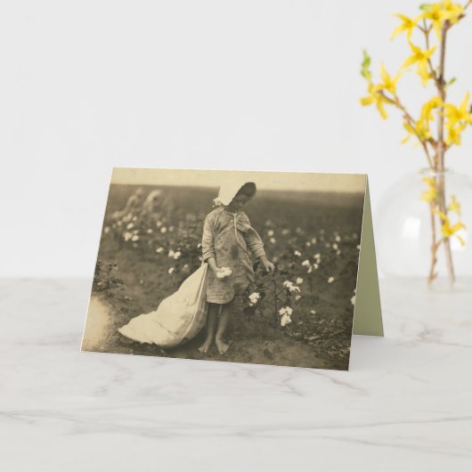 Katoenveld Kaart (Gele Bloem)