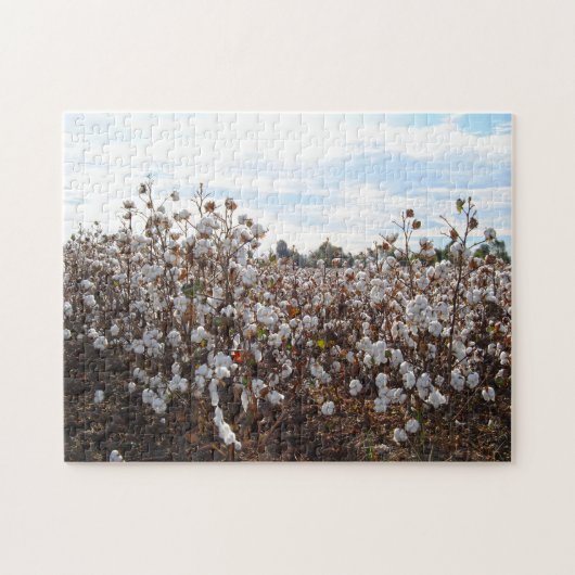Katoenveld Missouri. Legpuzzel (Horizontaal)