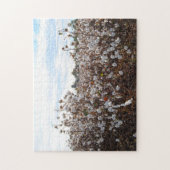 Katoenveld Missouri. Legpuzzel (Verticaal)