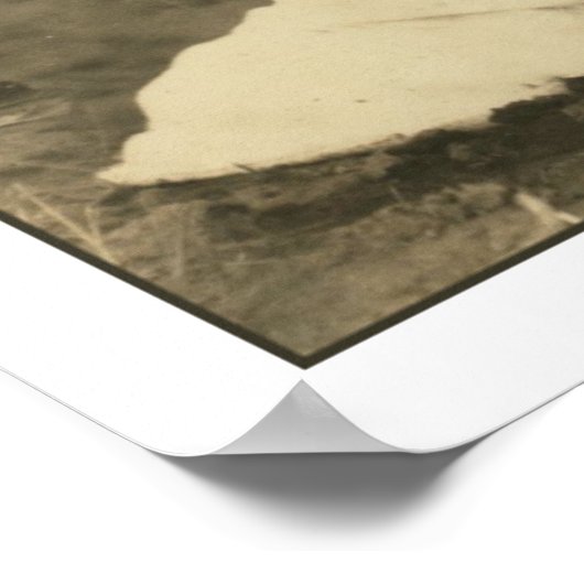 Katoenveld Poster (Hoek)