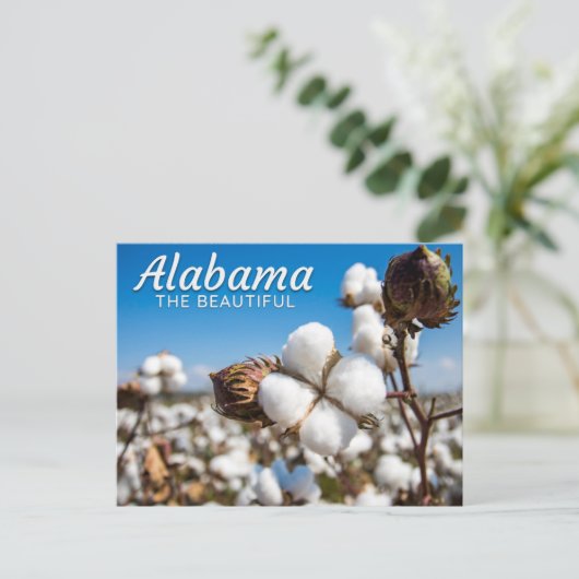 Katoenvelden van het Briefkaart Alabama (Staand voorkant)