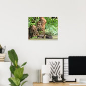 Katoetmond (watermoccasine) Schuin op de stoep Poster (Thuiskantoor)