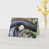 Katoetmond/Wenskaart met watermaag Kaart (Gele Bloem)