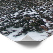 Katonah Poster (Hoek)