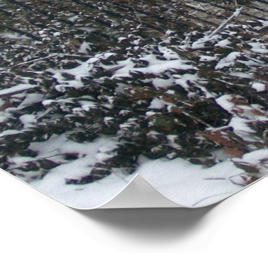 Katonah Poster (Hoek)