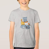 Katpiramide - Groep Katten Tri-Blend Shirt (Voorkant)
