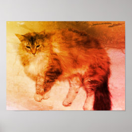 Katposter Poster
