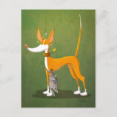 katroller briefkaart (Voorkant)