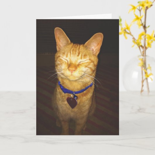 Kat's Birthday Wishes Greeting Kaart (Gele Bloem)