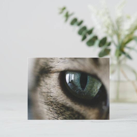 Kat's Briefkaart (Staand voorkant)