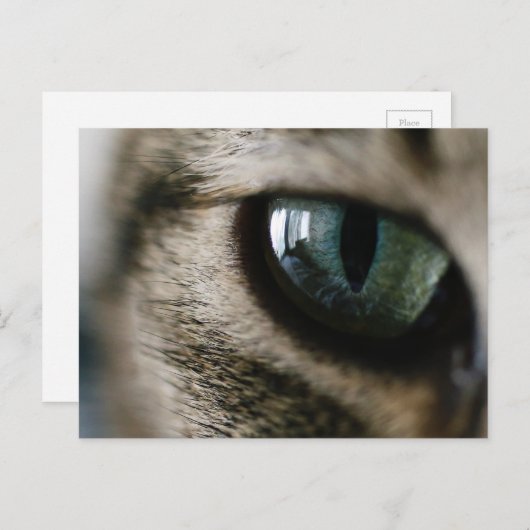 Kat's Briefkaart (Voorkant / Achterkant)