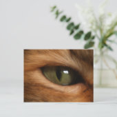 Kat's Briefkaart (Staand voorkant)