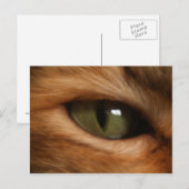 Kat's Briefkaart (Voorkant / Achterkant)