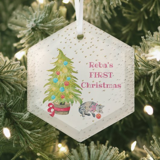 Kat's eerste kerstglazen versiering glas ornament (Insitu)