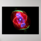 Kat's Eye Nebula NGC 6543 Optical Composite, ZGOA Poster (Voorkant)